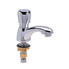 Shop Metering Faucets