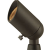 Shop Accent Lighting