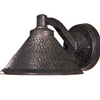 Shop Dark Sky Outdoor Wall Sconces