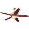 Shop How to Install a Ceiling Fan