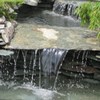 Shop Water Features