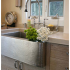Shop Native Trails Kitchen Sinks