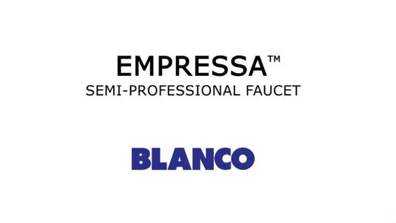 Blanco Empressa Single Hole Pre Rinse Kitchen Faucet