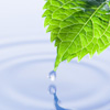 Shop Water Saving Bathroom