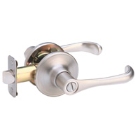 Shop Dexter Door Levers