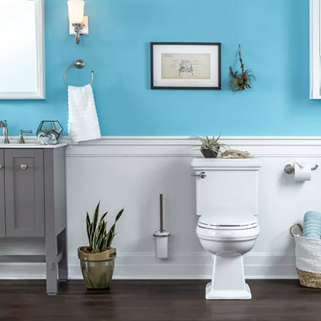 Bright blue bathroom with plants and natural elements