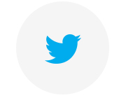 twitter icon in grey