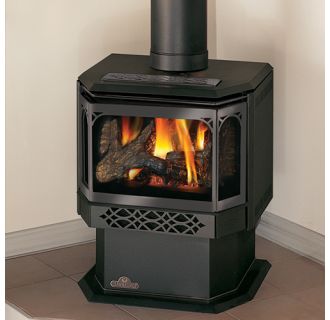 Napoleon Free Standing Stove Gds28 1sb, Free Standing Propane Fireplace Direct Vent