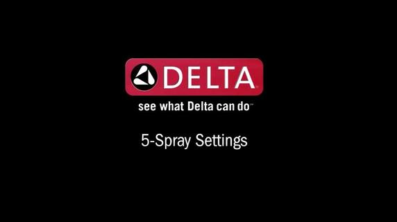 Delta 5 Spray Shower
